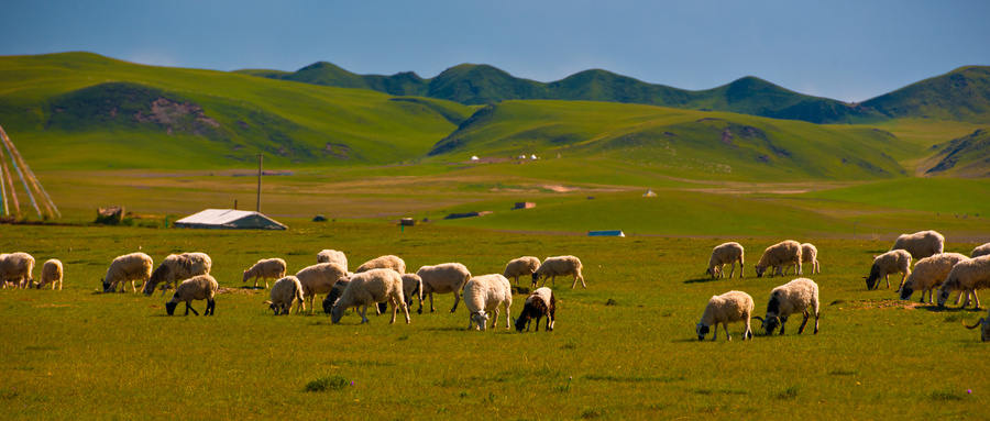 超高频RFID,智慧图书馆,智能书架,无人超市,工业RFID读写器